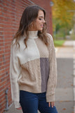 Brianna Color Block Turtle Neck Sweater