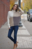 Brianna Color Block Turtle Neck Sweater